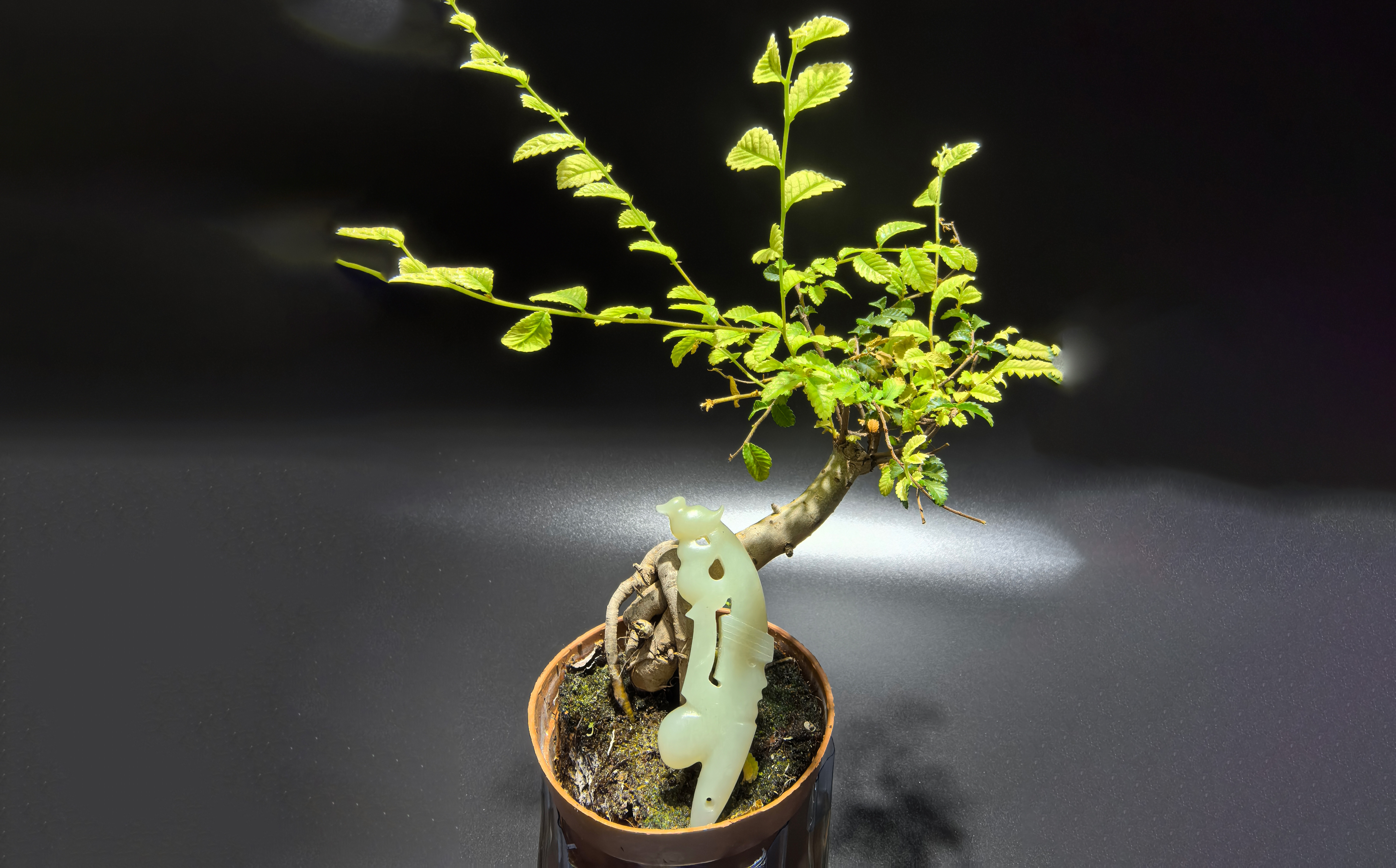 和田玉白玉：鸟兽人形佩